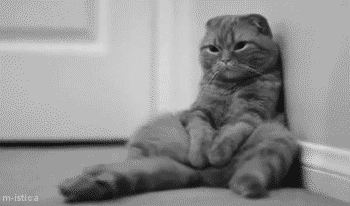 A depressed kitty.